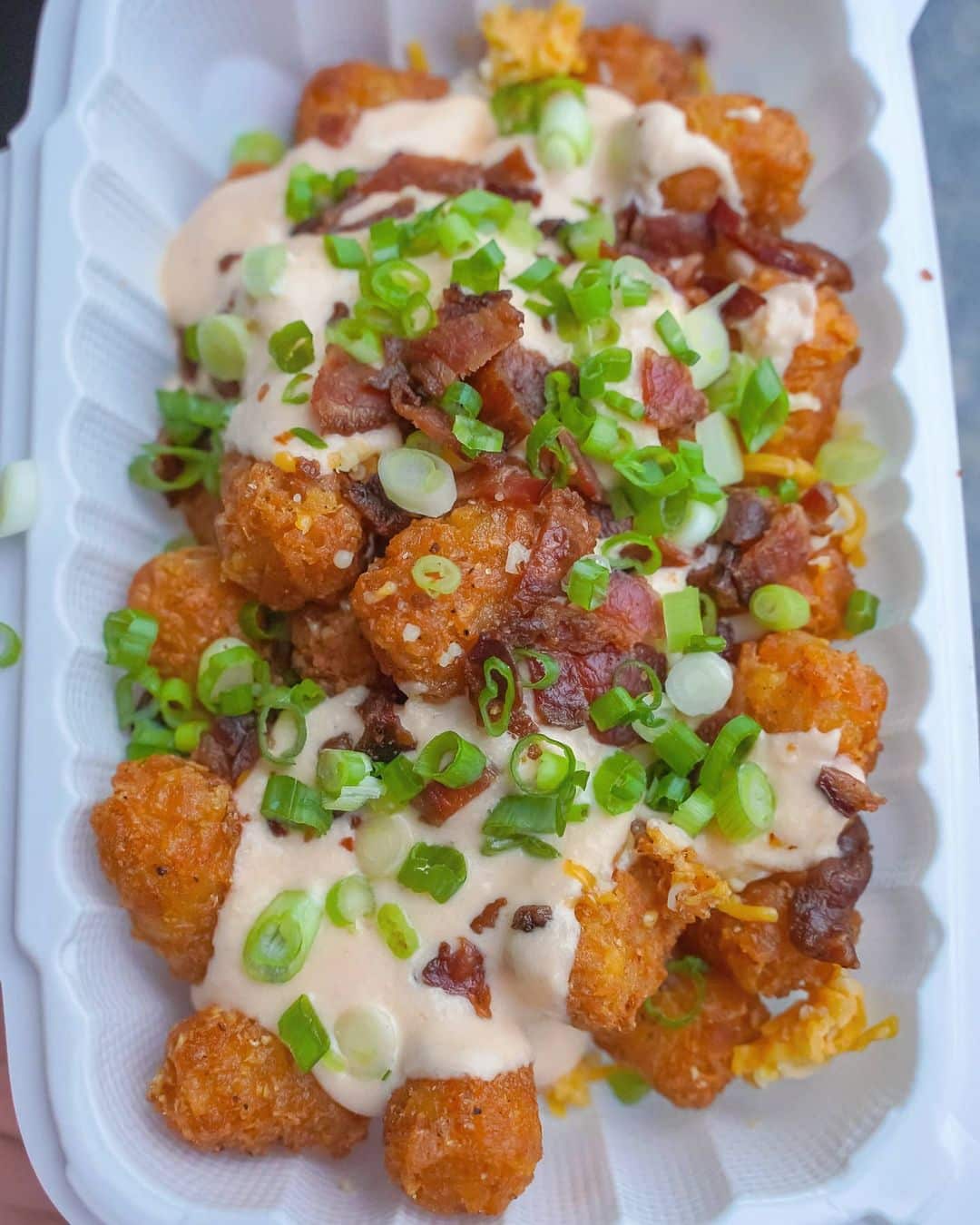 Loaded Tater Tots from Streat Kings Food Truck in NYC