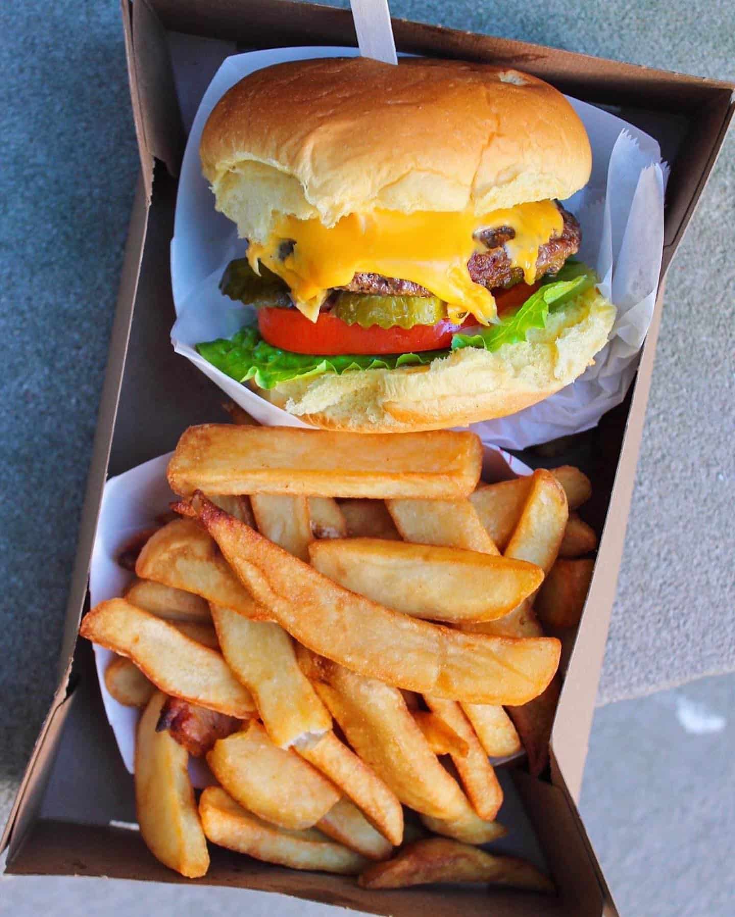 Cheese Burger and Fries