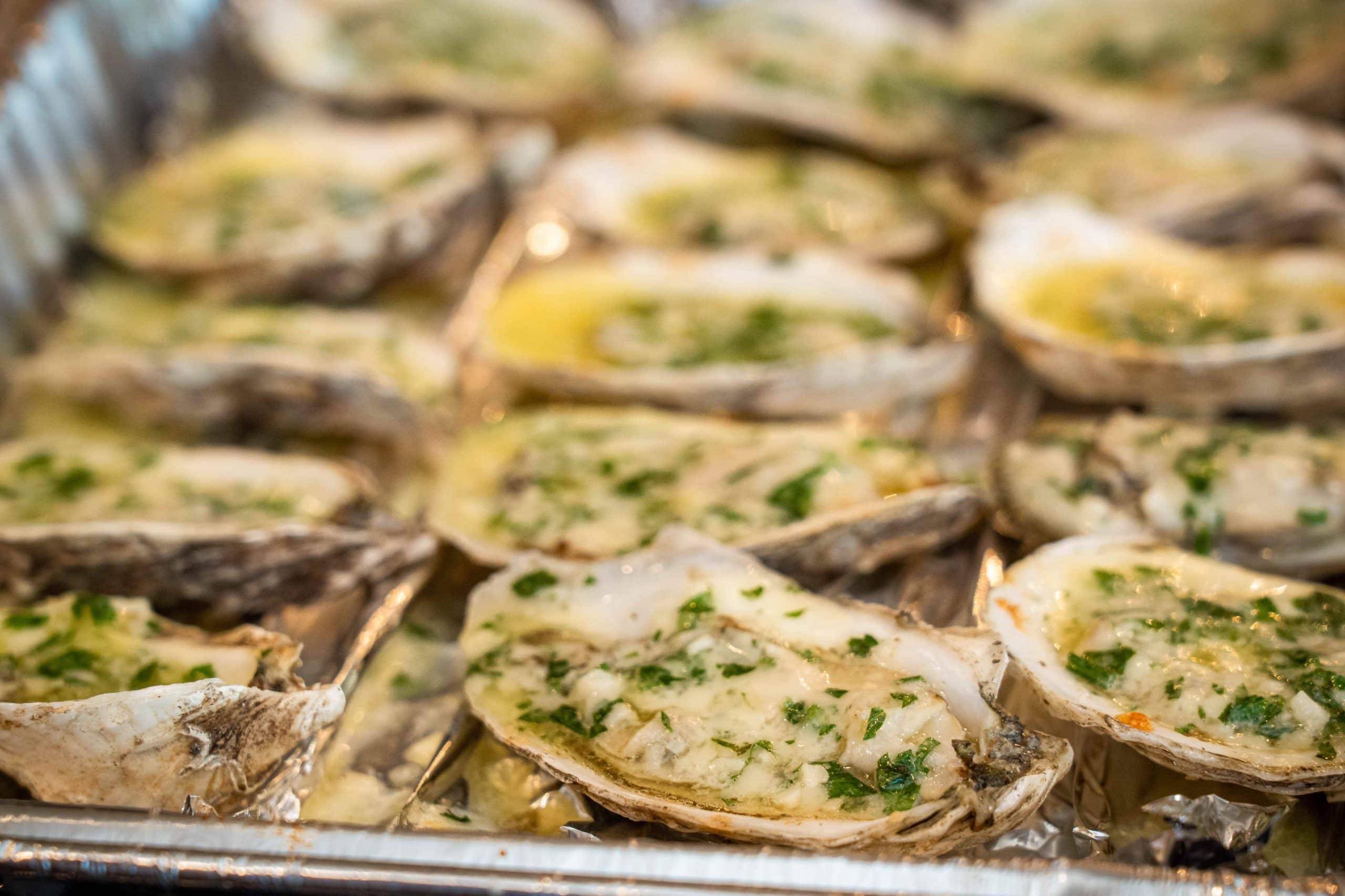 garlic and parmesan broiled oysters