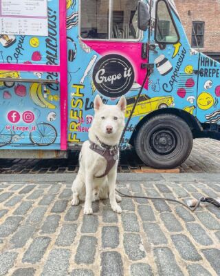 @balto_thewhitehusky⁠ sniffed out a good one! 😍@crepe_it serves the best Greek-style sweet & savory crepes in the city. Book their food truck to cater your next private event through our website! ⁠
⁠
1️⃣ THE TRIPPLE THREAT - strawberry, banana, and Nutella 🍓🍌🍫⁠
⁠
2️⃣ CREPEFAST - scrambled eggs, bacon, melted cheese, potato, avocado, and chipotle aioli 🍳🥓🧀🥑⁠
⁠
📸 @hungryartistny⁠